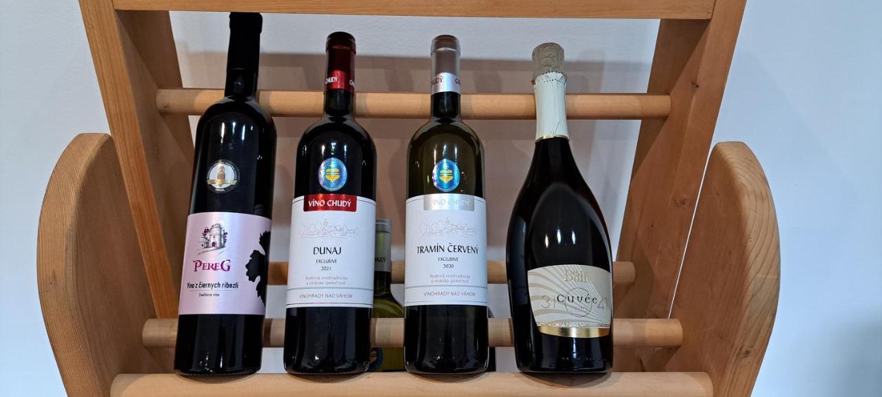 Apartman Zemplin Michalovce Eksteriør billede