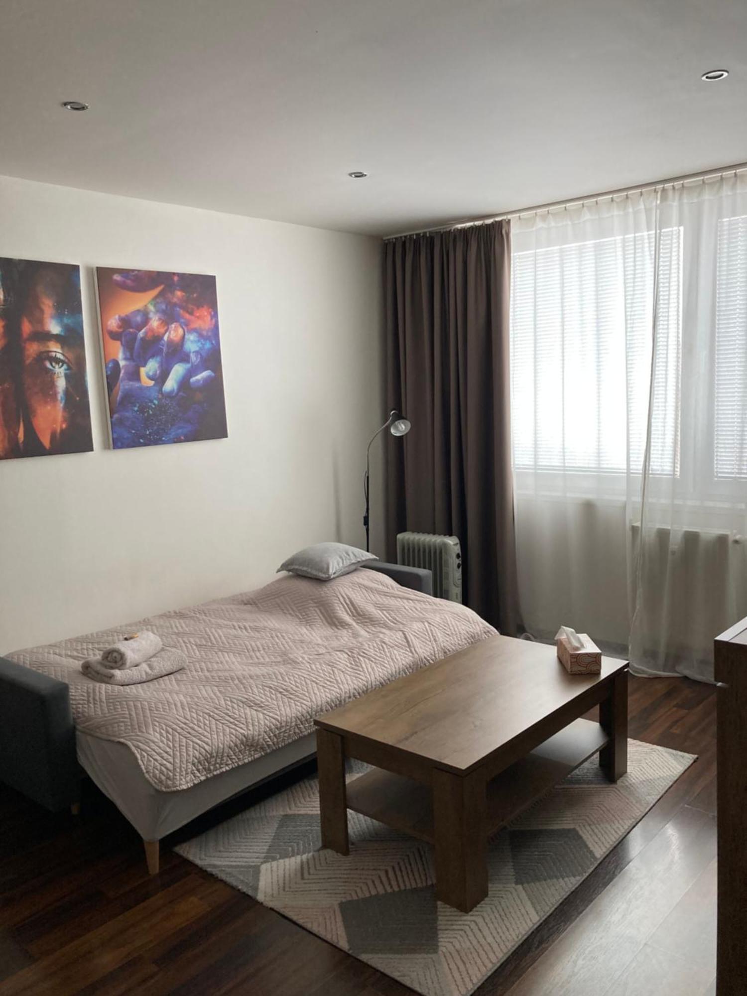 Apartman Zemplin Michalovce Eksteriør billede